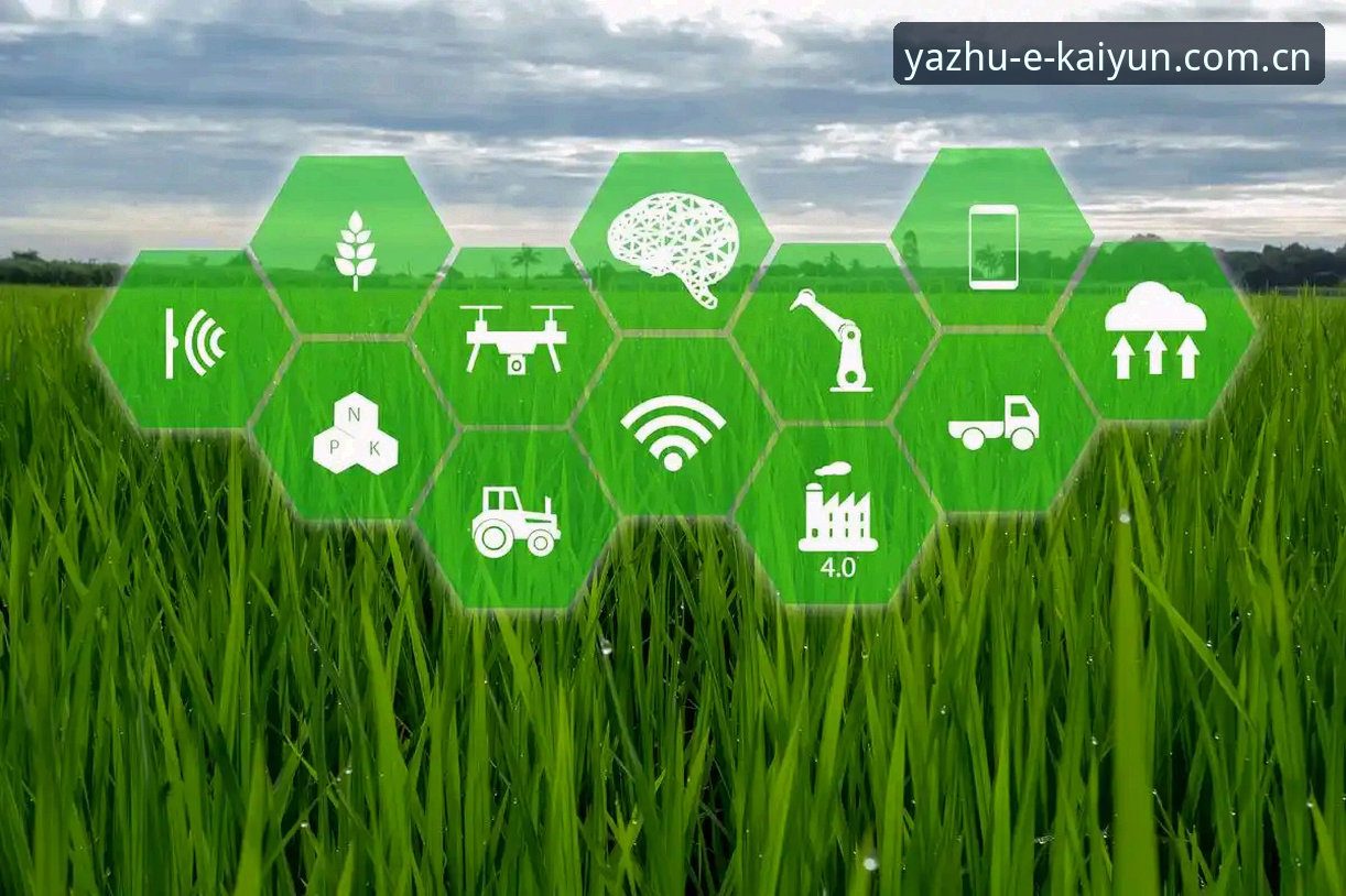 kaiyun在线娱乐教程 kaiyun体育平台全面评测:2025年在线娱乐生态与工具深度分析